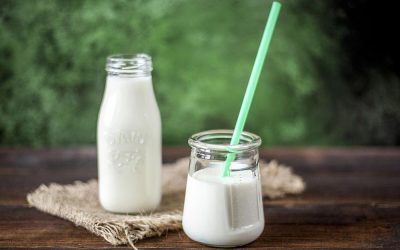 Curso de yogur y leches fermentadas