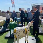 Las ovejas más zamoranas pastarán por varias ciudades promocionando la Feria Fromago