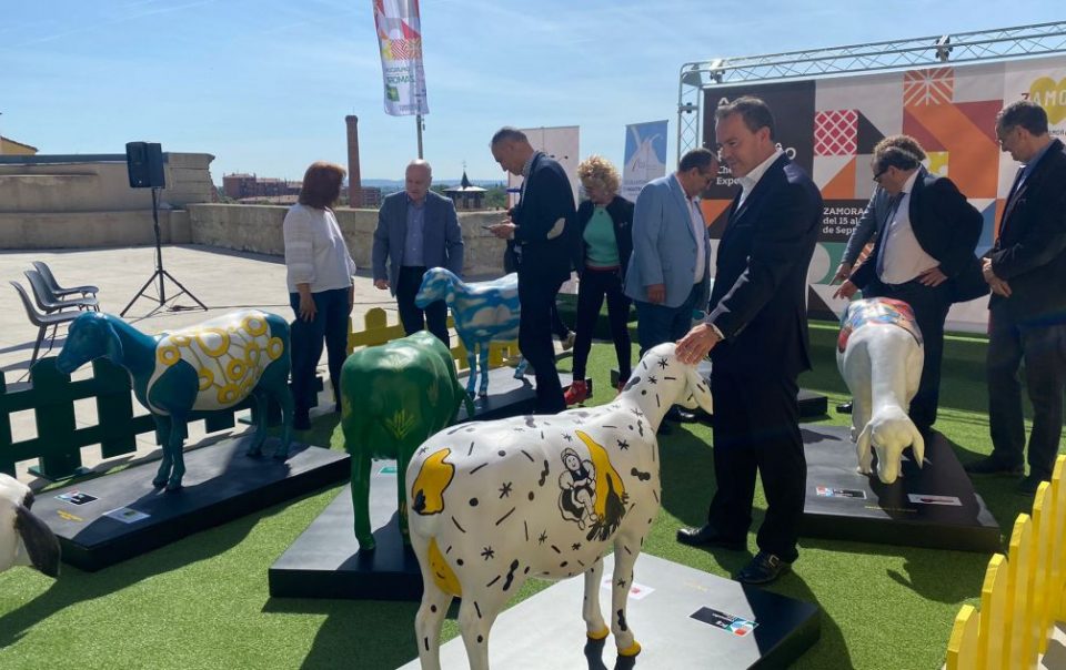 Las ovejas más zamoranas pastarán por varias ciudades promocionando la Feria Fromago