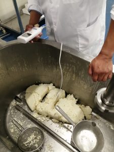 Curso práctico de elaboración de quesos de pasta hilada