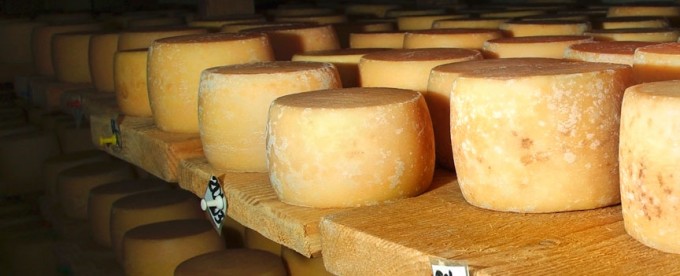 MasterClass – Maduración del queso