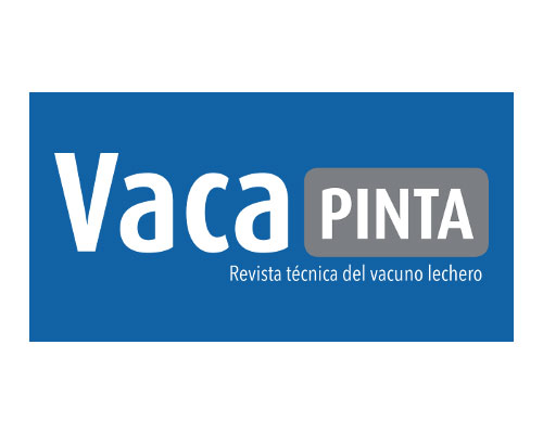 Vacapinta