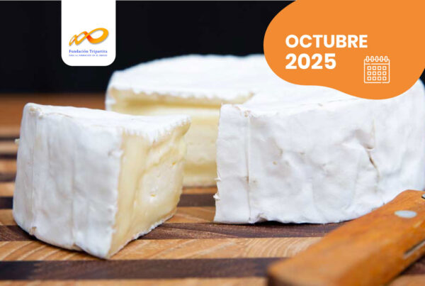 QUESO DE PASTA BLANDA. PRÁCTICAS EN OBRADOR