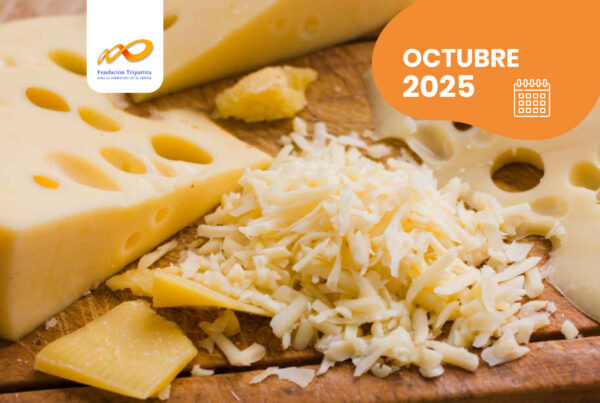 QUESO DE PASTA PRENSADA. PRÁCTICAS EN OBRADOR