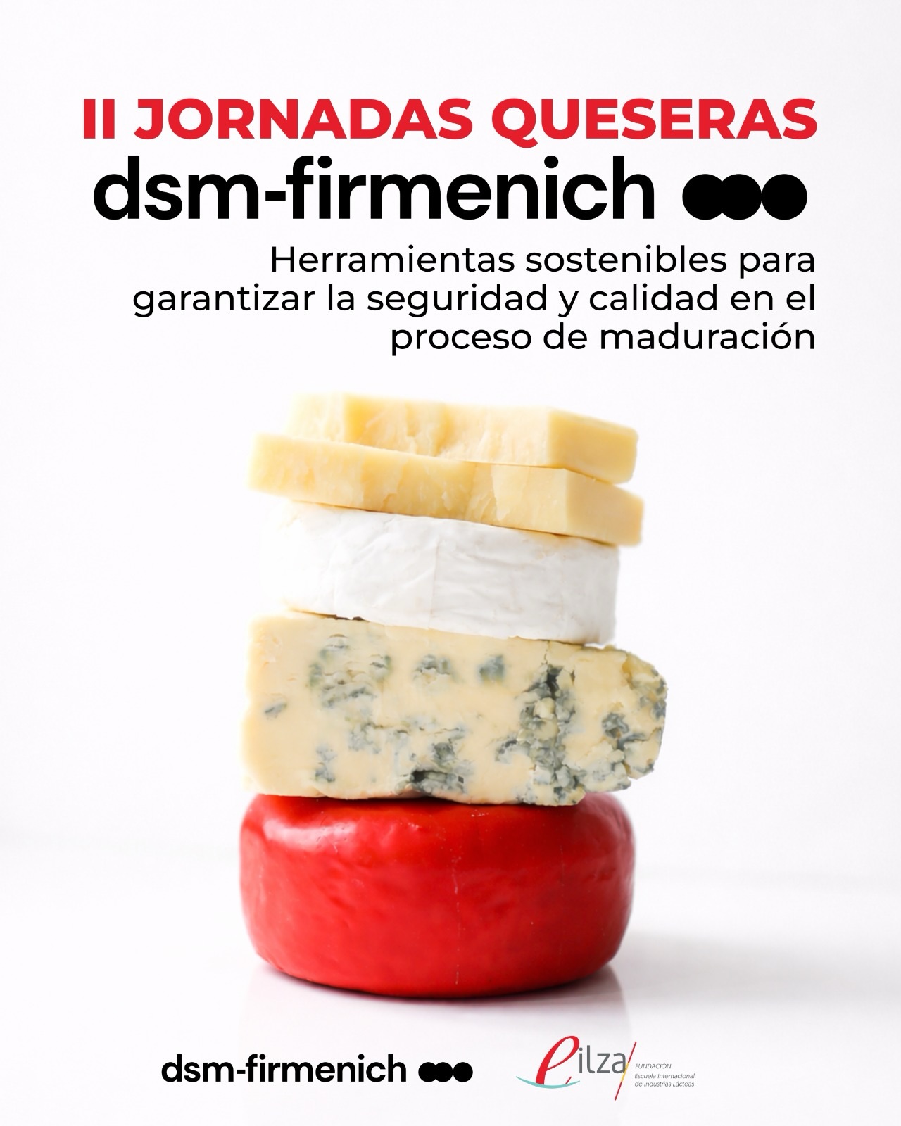 II Jornadas Queseras dsm-firmenich